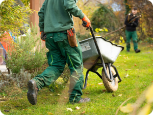 Comment aménager un jardin facile à entretenir ? – Jardins Secrets paysagiste